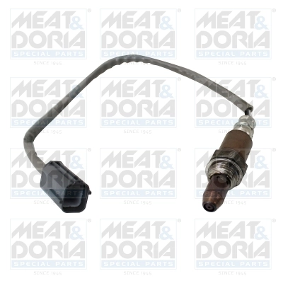 Oxygen Sensor